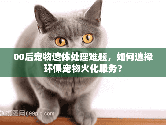 00后宠物遗体处理难题，如何选择环保宠物火化服务？