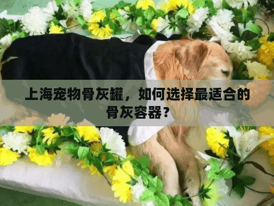 上海宠物骨灰罐，如何选择最适合的骨灰容器？
