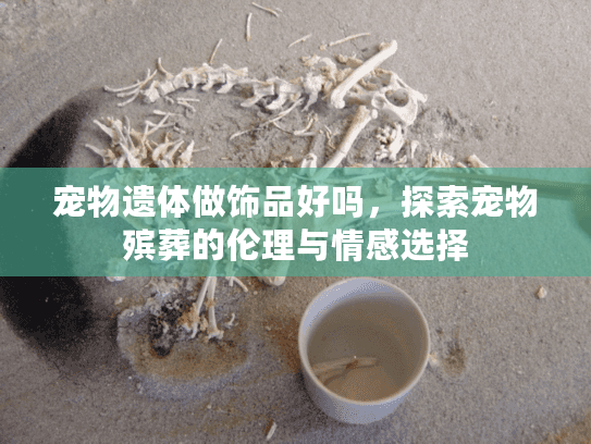宠物遗体做饰品好吗，探索宠物殡葬的伦理与情感选择
